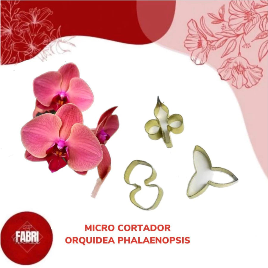 KIT MICRO CORTADORES PHALEANOPSIS