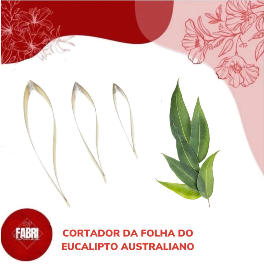 CORTADOR DA FOLHA DO EUCALIPTO AUSTRALIANO