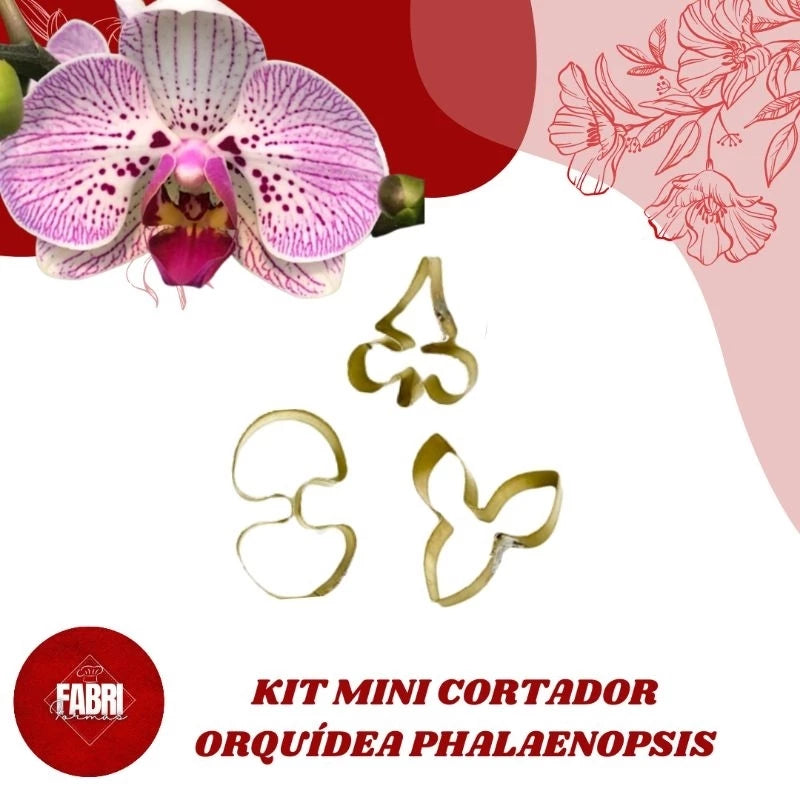 KIT MINI CORTADORES ORQUÍDEA PHALAENOPSIS