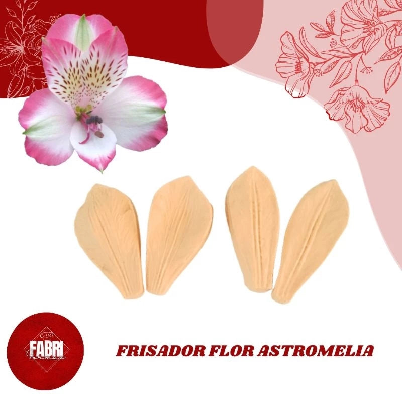 FRISADORES FLOR ASTROMELIA