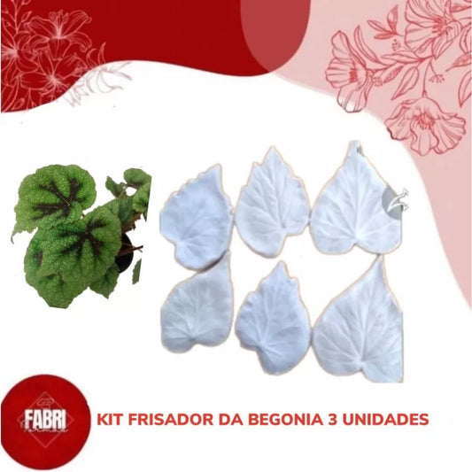 KIT FRISADOR DA BEGONIA 3 UNIDADES