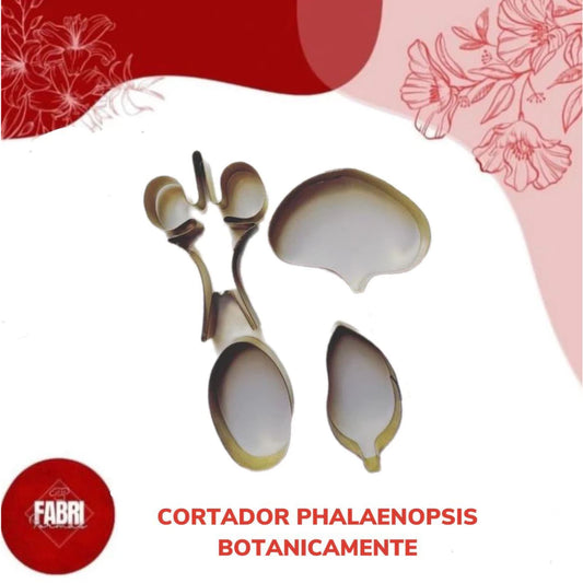 CORTADOR PHALEANOPSIS BOTANICAMENTE